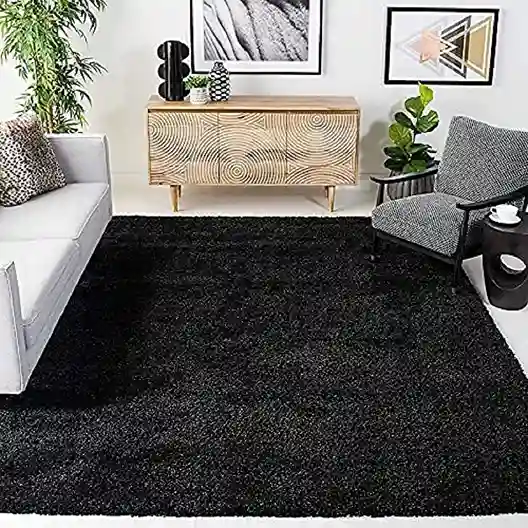 black rugs for living room_11zon